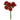 FLOWER FOAM ROSE 7H RED 1BCH