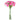 FLOWER FOAM ROSE 12H HOT PINK 1BCH