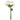 Flower Foam Rose 12H White 1Bch