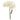 FOAM PEONY 6H BUNCH WHITE